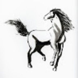 Meet your Posher, Paul